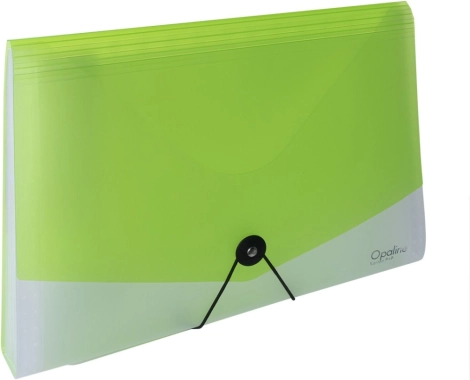 Organizator za dokumente A4 s elastičnim zatvaračem Opaline prozirno-zelena