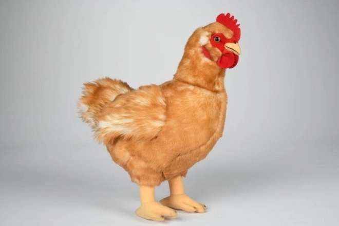 Plišana kokoš