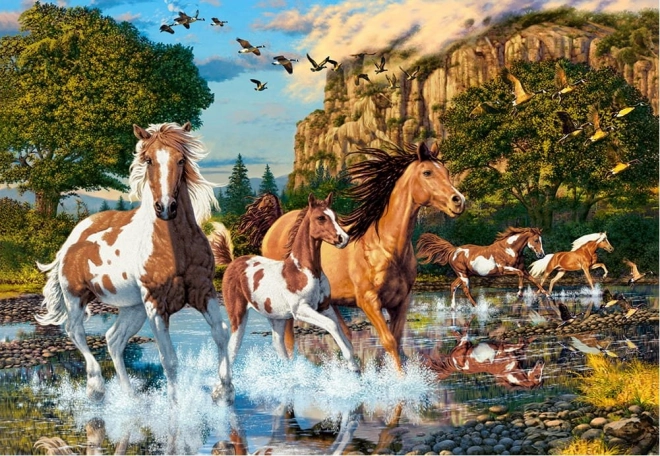 Puzzle od 1000 dijelova Konji