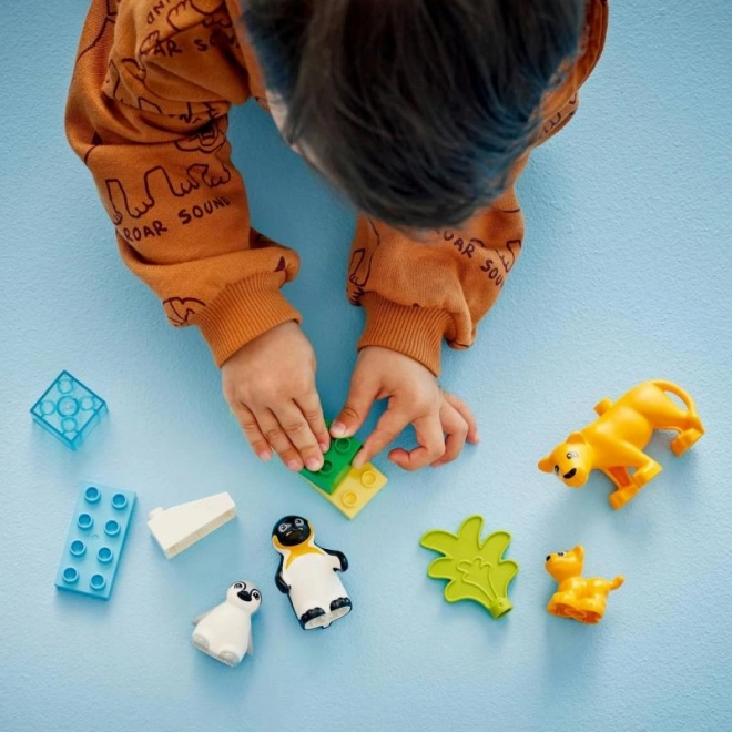 Lego Duplo Obitelj divljih životinja: Pingvini i lavovi