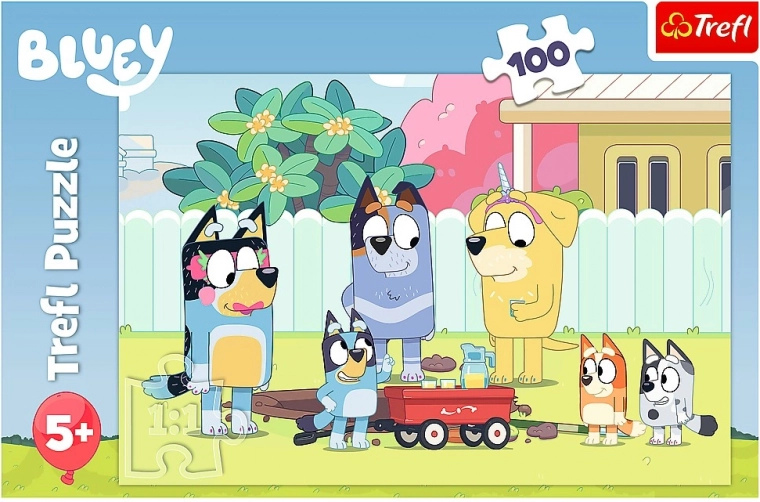 100 dijelova – idealan izazov od 5 godina