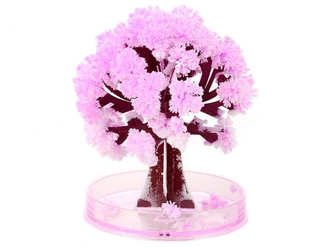 Čarobno stablo Sakura