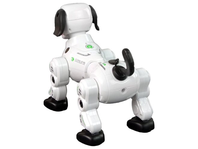 Interaktivni daljinski upravljan robotski pas