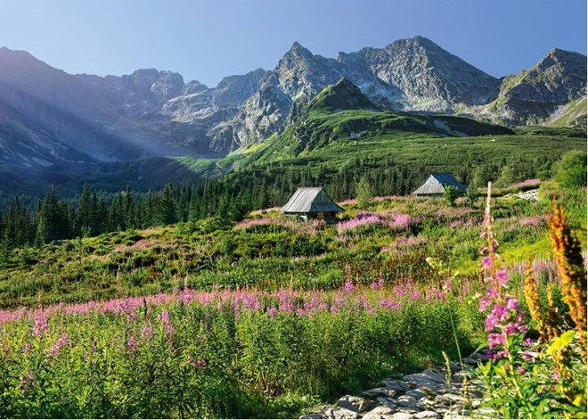 Puzzle CHERRY PAZZI Visoke Tatre – Dolina Housenková, 1000 dijelova