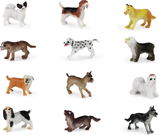 12 različitih pasmina u jednom setu