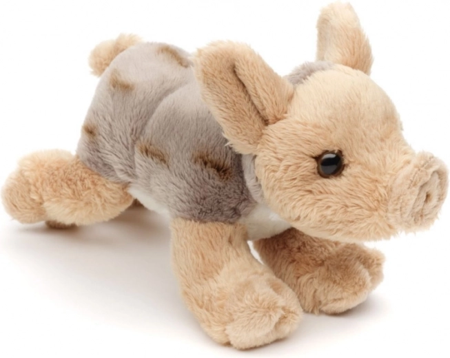 Lagano i idealno za putovanja