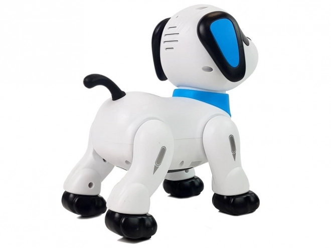Interaktivni robotski pas na daljinsko upravljanje