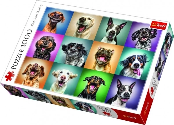 Puzzle Smiješni pseći portreti 1000 dijelova 68,3x48cm u kutiji 40x27x6cm