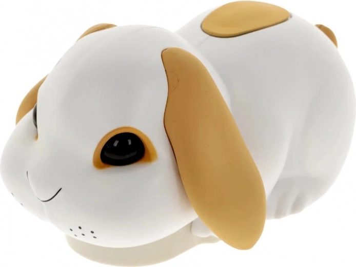 Vrckavi zečić koji pokreće zabavu