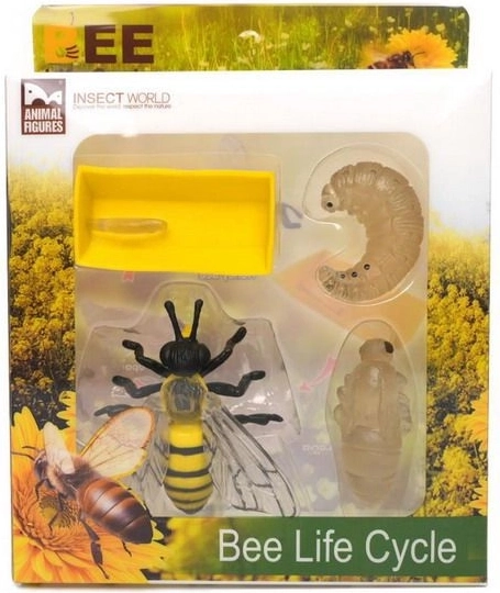 Figurica razvojni ciklus pčele set 4 kom
