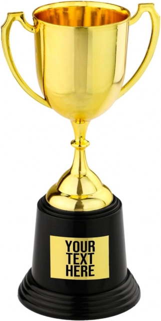 Trofej pehar 22 cm