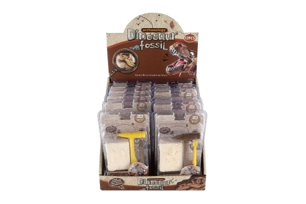 Mali arheolog dinosaurus fosili plastika 2 boje u blisteru 12,5x19x5cm 12kom u kutiji