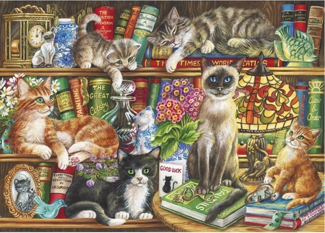 Puzzle Mačke u knjigama 1000 dijelova
