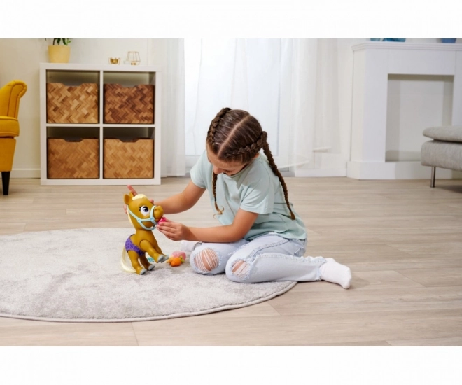 Pamper Petz Poni s pelenskog partyja