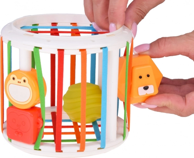 Pametni sorter s elastičnim trakama