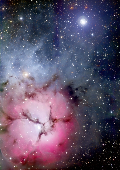 Puzzle Maglica Trifid 1000 dijelova