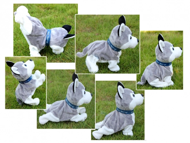 Interaktivni plišani pas Husky