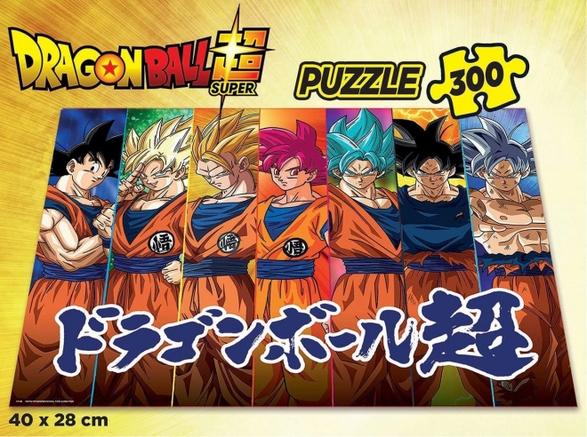 Puzzle Dragon Ball Super 300 dijelova