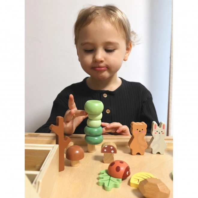 Šumski set s drvenim kockama Tooky Toy