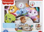 Fisher-Price Sloth Tummy Time Pillow