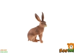 Plastic figure of a European hare Zooted 6 cm