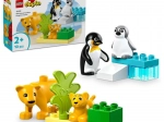 LEGO DUPLO Wild Animal Families: Penguins and Lions