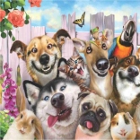 Dijamantno slikanje Luda selfie 30x40 cm