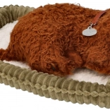 Savršeni Ljubimac Pseće Štene Pudla koje Spava