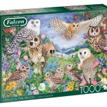 Puzzle FALCON sove u šumi, 1000 dijelova