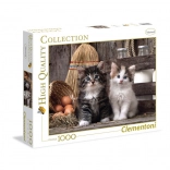Puzzle Lovely Kittens 1000 dijelova