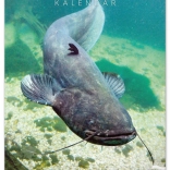 Zidni kalendar Ribolovački 2026