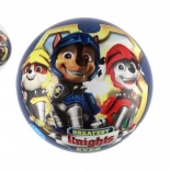 Loptica Paw Patrol 23 cm plava u mrežici
