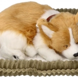 Dišuće štene CORGI – realistično plišano