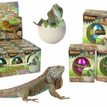 Magično jajce koje se izleže – rastući gušter 6 cm