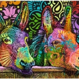 Slagalica 1000 dijelova – zaljubljeni magarci (Jelly Pets) – Heye