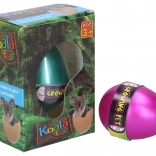 Rastuće jaje Koala 6,5 cm