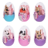 Pas u jajetu – iznenađenje za djecu