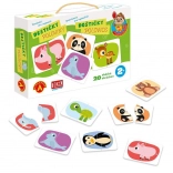 Alexander upoznavanje za najmlađe – pločice polovice