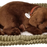 Plišano hrčuće štene – čokoladni labrador na ležaju