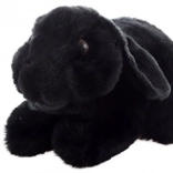 Crni plišani zec ECO-FRIENDLY