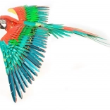 metal earth 3D puzzle papagaj ICONX – metalni model za sastavljanje