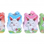 Kasica zeko 8 × 10 × 4,8 cm