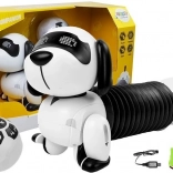 Interaktivni robotski pas na daljinsko upravljanje