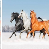 Dijamantno slikanje Konjski trio 30x40 cm