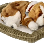 Dišuće psiće buldog