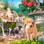 Slagalica 100 dijelova Hide and Seek