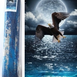 Dijamantno slikanje Noćni lovac 80 × 40 cm