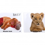 Akvarelni skicir A3 za Mladunce