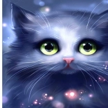 Dijamantno slikanje sivo mače 30 × 40 cm