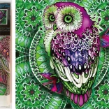 Norimpex dijamantno slikanje 7D – sova na zelenoj mandali 30 × 30 cm
